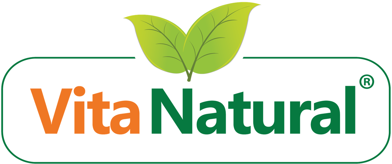 Vita-Natural-Logo